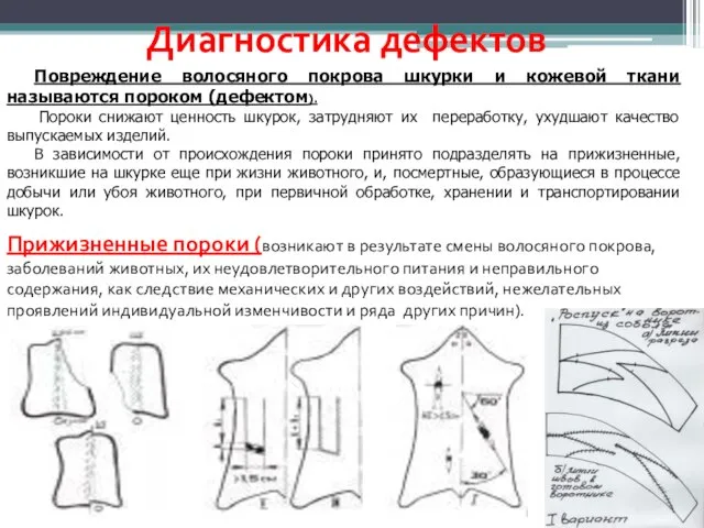 Диагностика дефектов Повреждение волосяного покрова шкурки и кожевой ткани называются пороком