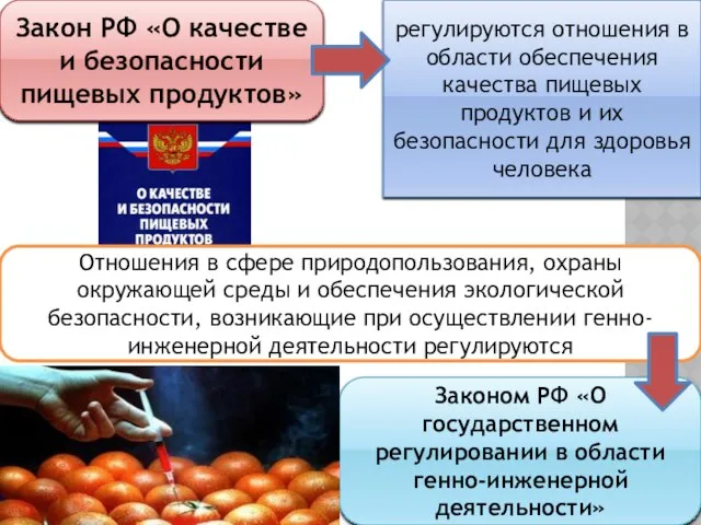 Закон РФ «О качестве и безопасности пищевых продуктов» регулируются отношения в