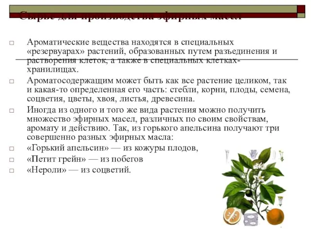 Ароматические вещества находятся в специальных «резервуарах» растений, образованных путем разъединения и