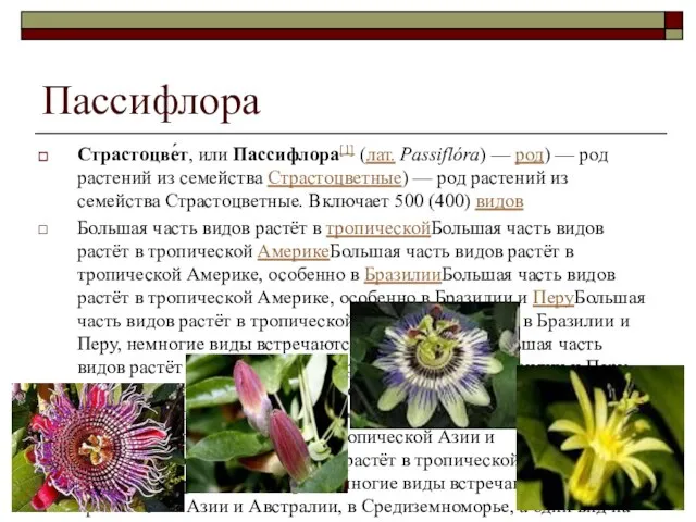 Пассифлора Страстоцве́т, или Пассифлора[1] (лат. Passiflóra) — род) — род растений