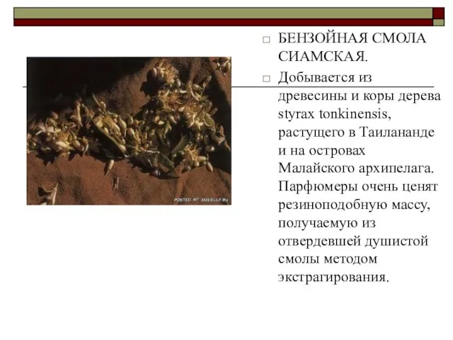 БЕНЗОЙНАЯ СМОЛА СИАМСКАЯ. Добывается из древесины и коры дерева styrax tonkinensis,