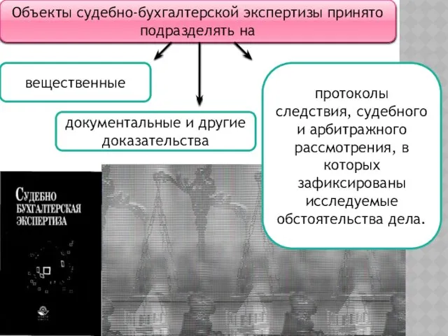 Объекты судебно-бухгалтерской экспертизы принято подразделять на вещественные документальные и другие доказательства