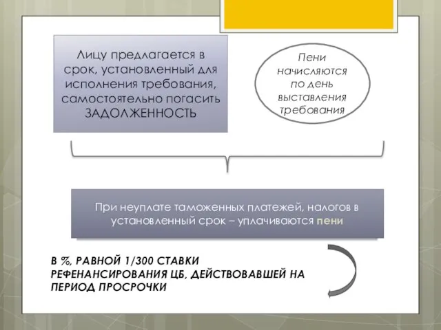 Лицу предлагается в срок, установленный для исполнения требования, самостоятельно погасить ЗАДОЛЖЕННОСТЬ