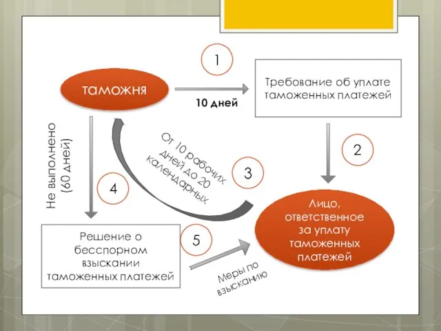 таможня 1 10 дней Требование об уплате таможенных платежей 2 Лицо,