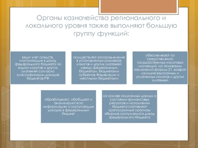 Органы казначейства регионального и локального уровня также выполняют большую группу функций: