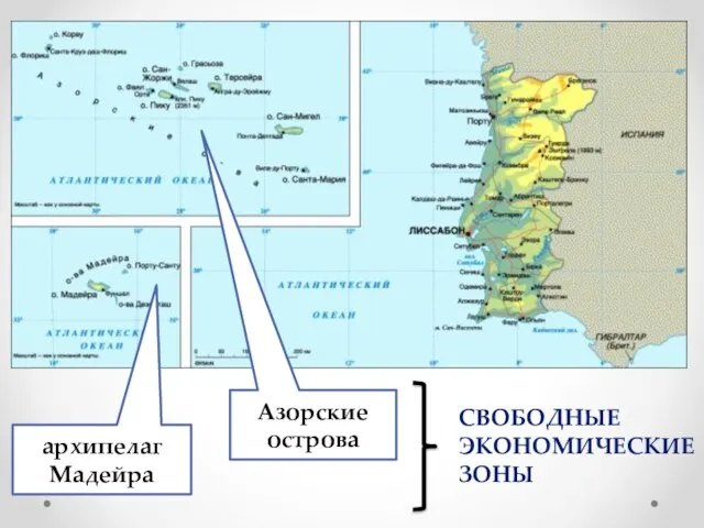 архипелаг Мадейра Азорские острова СВОБОДНЫЕ ЭКОНОМИЧЕСКИЕ ЗОНЫ