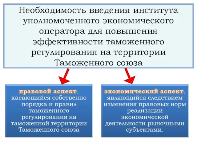 Необходимость введения института уполномоченного экономического оператора для повышения эффективности таможенного регулирования на территории Таможенного союза