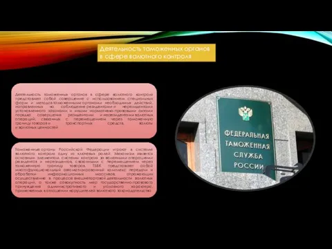 Деятельность таможенных органов в сфере валютного контроля