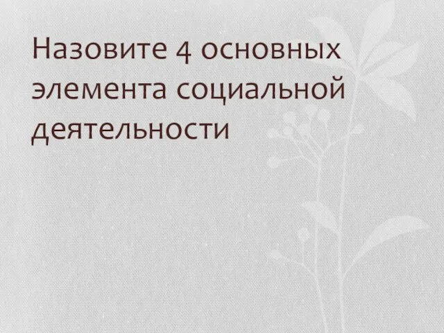 Назовите 4 основных элемента социальной деятельности