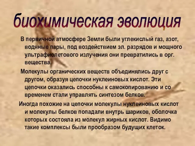 В первичной атмосфере Земли были углекислый газ, азот, водяные пары, под