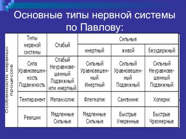 Основные типы нервной системы по Павлову: