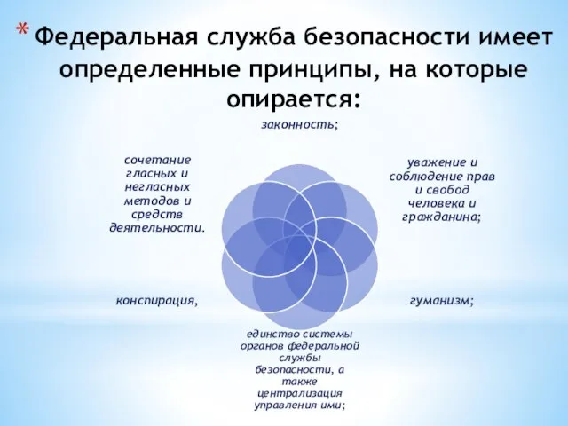 Федеральная служба безопасности имеет определенные принципы, на которые опирается: