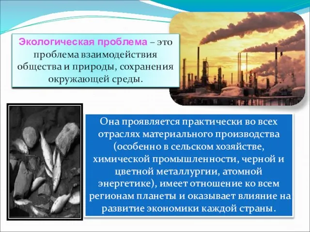 Экологическая проблема – это проблема взаимодействия общества и природы, сохранения окружающей