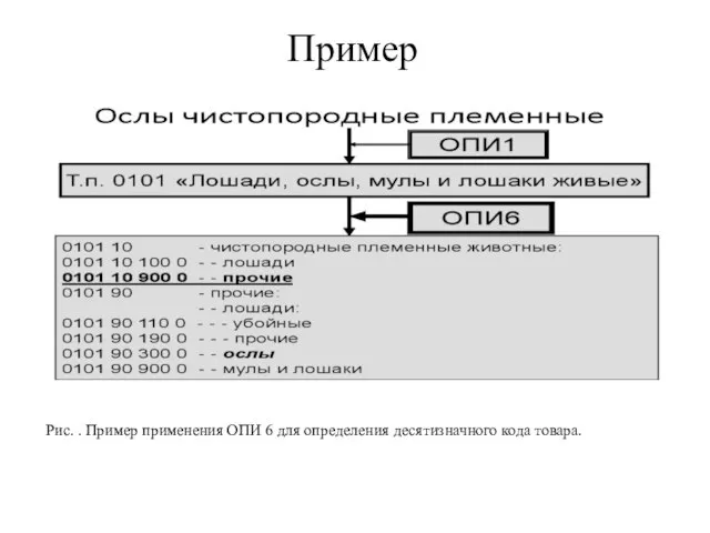 Пример Рис. . Пример применения ОПИ 6 для определения десятизначного кода товара.