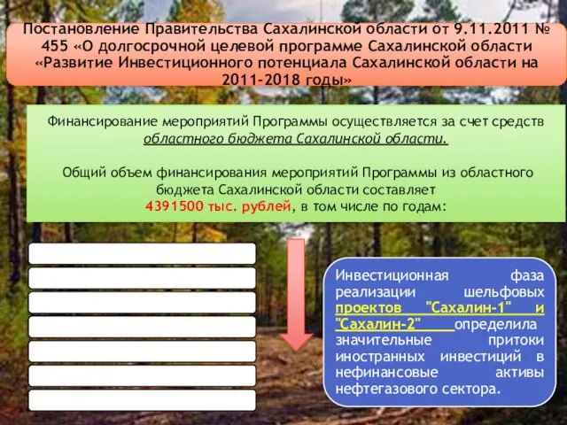 Финансирование мероприятий Программы осуществляется за счет средств областного бюджета Сахалинской области.