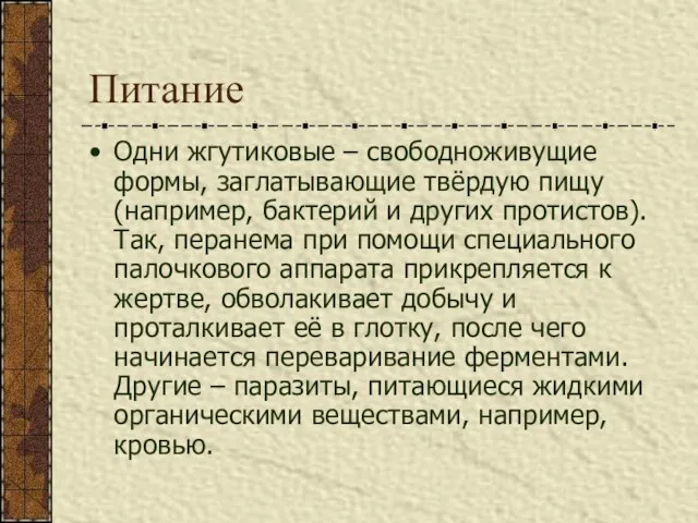 Питание Одни жгутиковые – свободноживущие формы, заглатывающие твёрдую пищу (например, бактерий