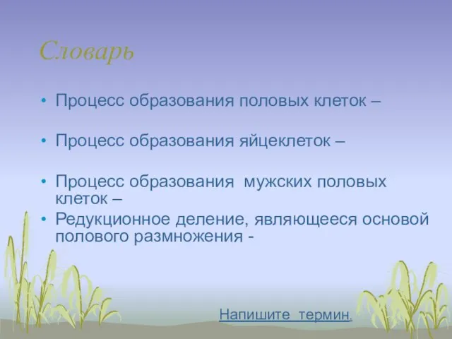 Словарь Процесс образования половых клеток – Процесс образования яйцеклеток – Процесс