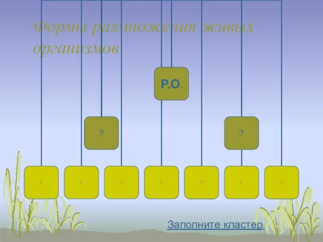 Формы размножения живых организмов Заполните кластер.