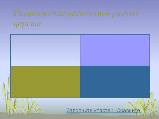 Размножение организмов разных царств Заполните кластер. Сравните.