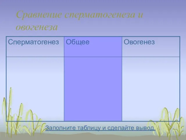 Сравнение сперматогенеза и овогенеза Заполните таблицу и сделайте вывод.