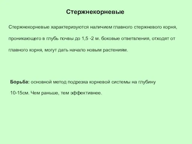 Стержнекорневые характеризуются наличием главного стержневого корня, проникающего в глубь почвы до