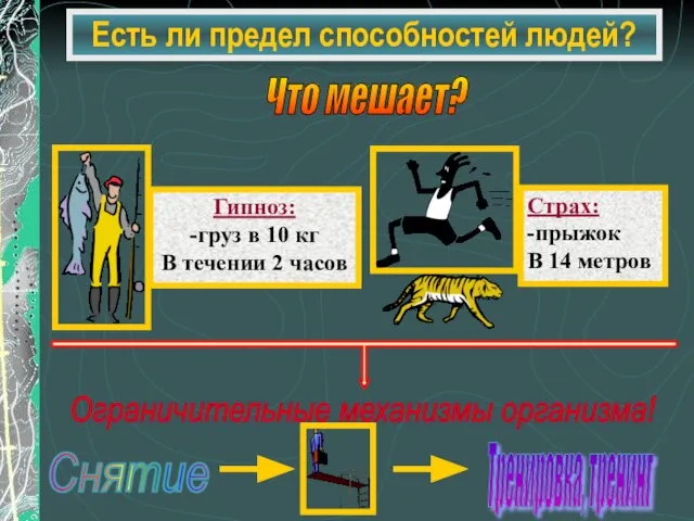 Есть ли предел способностей людей? Что мешает?