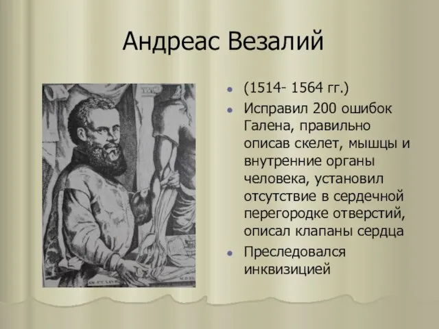 Андреас Везалий (1514- 1564 гг.) Исправил 200 ошибок Галена, правильно описав