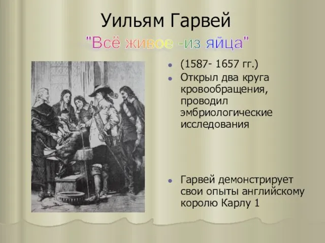 Уильям Гарвей (1587- 1657 гг.) Открыл два круга кровообращения, проводил эмбриологические