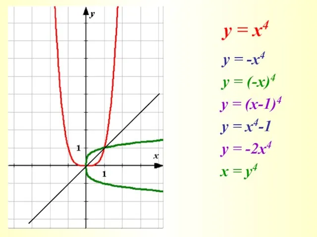 у = х4 у = -х4 у = (-х)4 у =