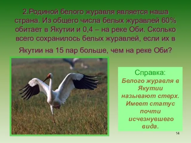 2.Родиной белого журавля является наша страна. Из общего числа белых журавлей