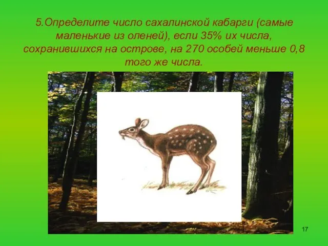 5.Определите число сахалинской кабарги (самые маленькие из оленей), если 35% их