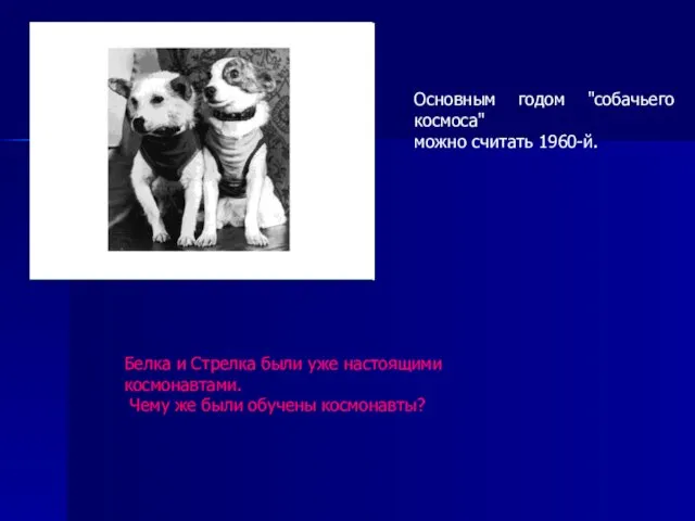 Основным годом "собачьего космоса" можно считать 1960-й. Белка и Стрелка были