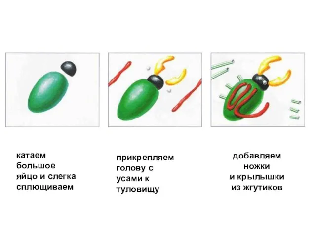 катаем большое яйцо и слегка сплющиваем прикрепляем голову с усами к