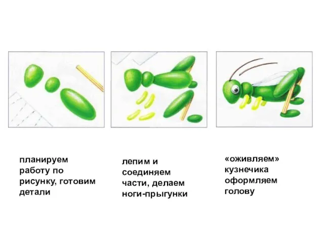 планируем работу по рисунку, готовим детали лепим и соединяем части, делаем ноги-прыгунки «оживляем» кузнечика оформляем голову