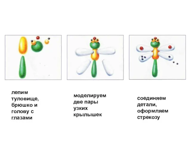 лепим туловище, брюшко и голову с глазами моделируем две пары узких крылышек соединяем детали, оформляем стрекозу