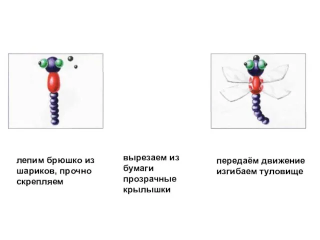 лепим брюшко из шариков, прочно скрепляем вырезаем из бумаги прозрачные крылышки передаём движение изгибаем туловище