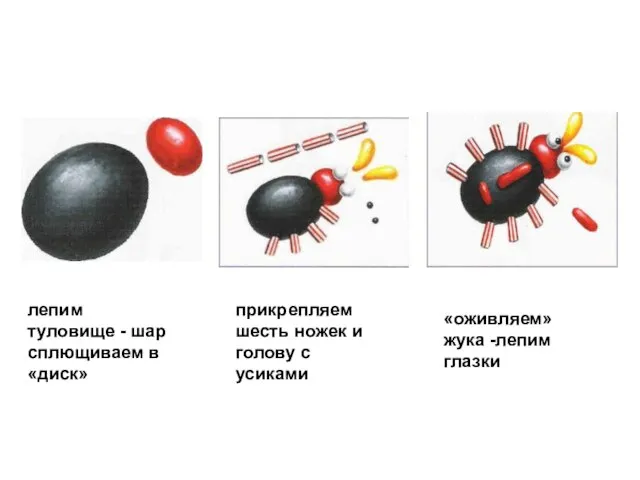 лепим туловище - шар сплющиваем в «диск» прикрепляем шесть ножек и