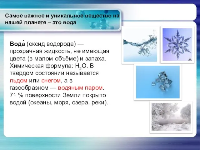 Самое важное и уникальное вещество на нашей планете – это вода