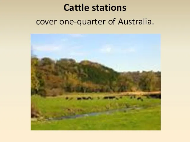 Cattle stations cover one-quarter of Australia.