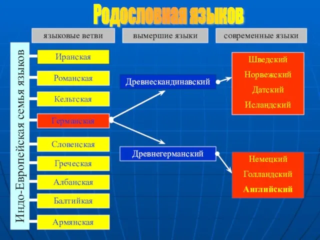 Индо-Европейская семья языков Иранская Романская Кельтская Германская Словенская Греческая Албанская Армянская