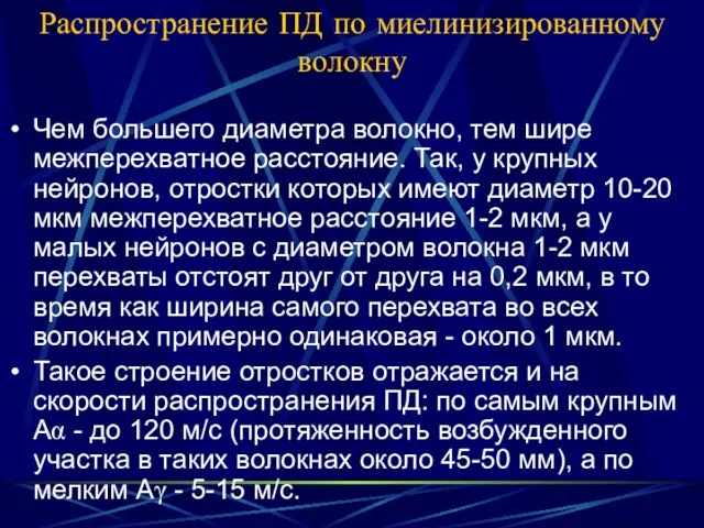 Распространение ПД по миелинизированному волокну Чем большего диаметра волокно, тем шире