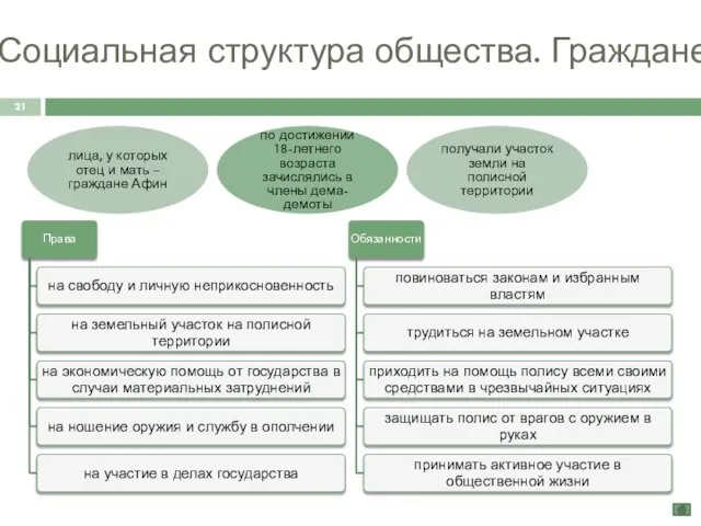 Социальная структура общества. Граждане