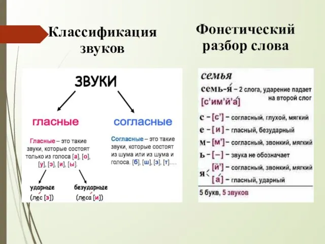 Классификация звуков Фонетический разбор слова