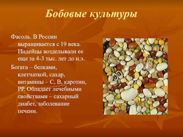 Бобовые культуры Фасоль. В России выращивается с 19 века. Индейцы возделывали