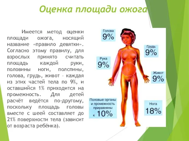 Оценка площади ожога Имеется метод оценки площади ожога, носящий название «правило