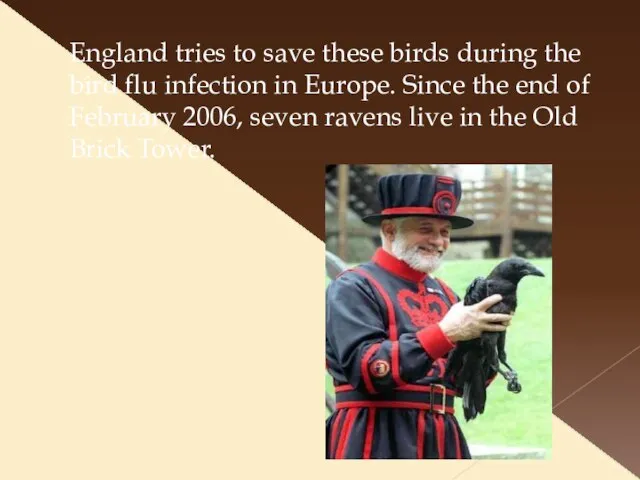 England tries to save these birds during the bird flu infection