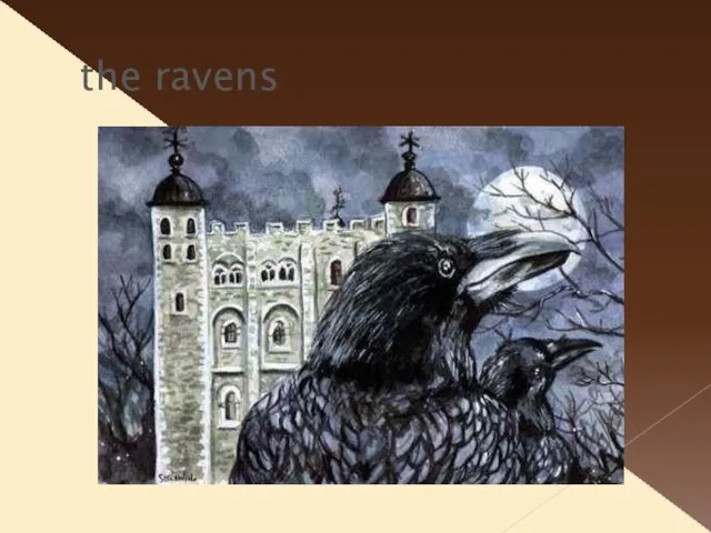 the ravens