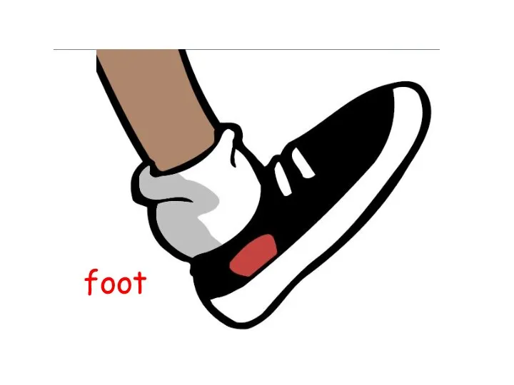 foot