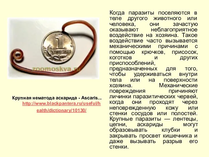 Когда паразиты поселяются в теле другого животного или человека, они зачастую