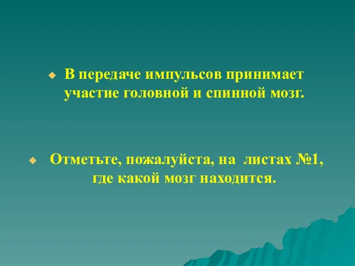 В передаче импульсов принимает участие головной и спинной мозг. Отметьте, пожалуйста,